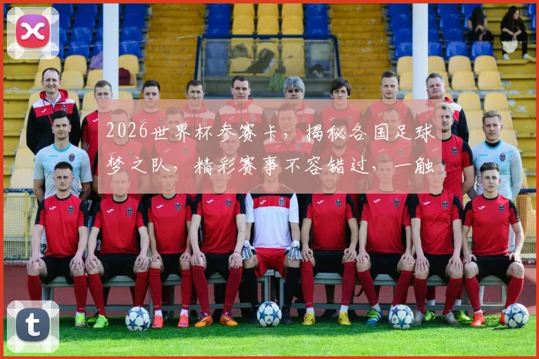 2026世界杯参赛卡，揭秘各国足球梦之队，精彩赛事不容错过，一触即发