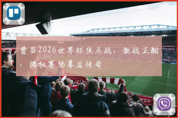 曹县2026世界杯焦点战，激战正酣，揭秘赛场幕后传奇